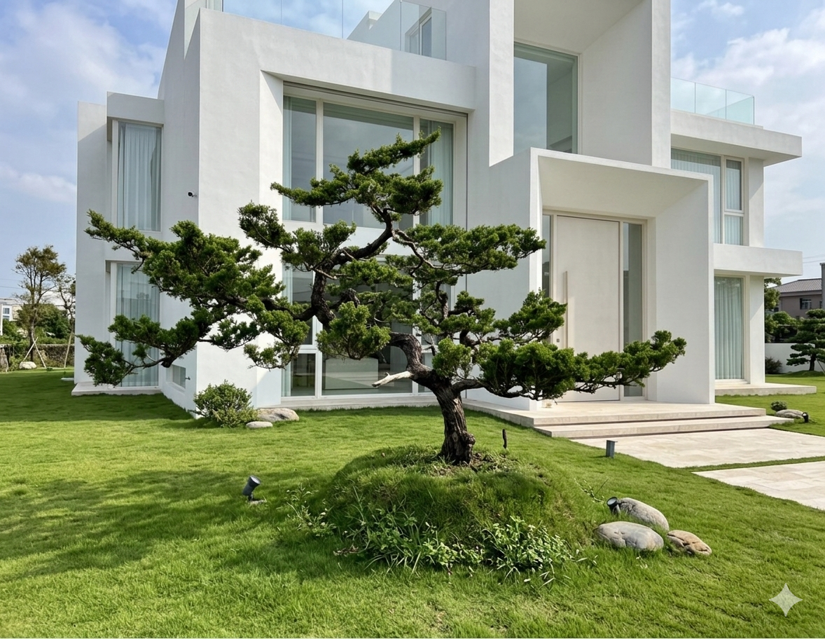 真柏庭園樹（飄320公分，樹齡30年）