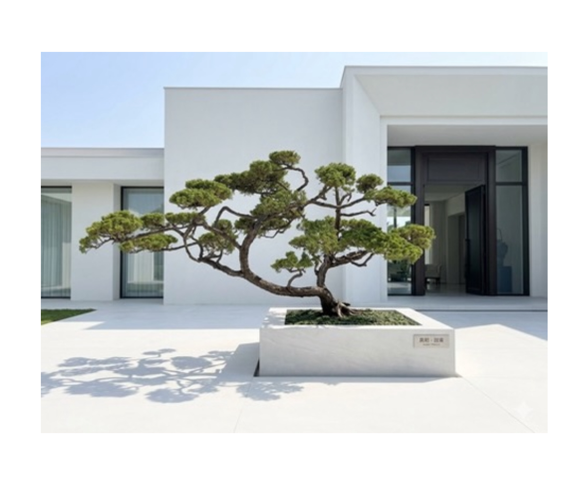 真柏庭園樹（樹齡30年，飄380公分）