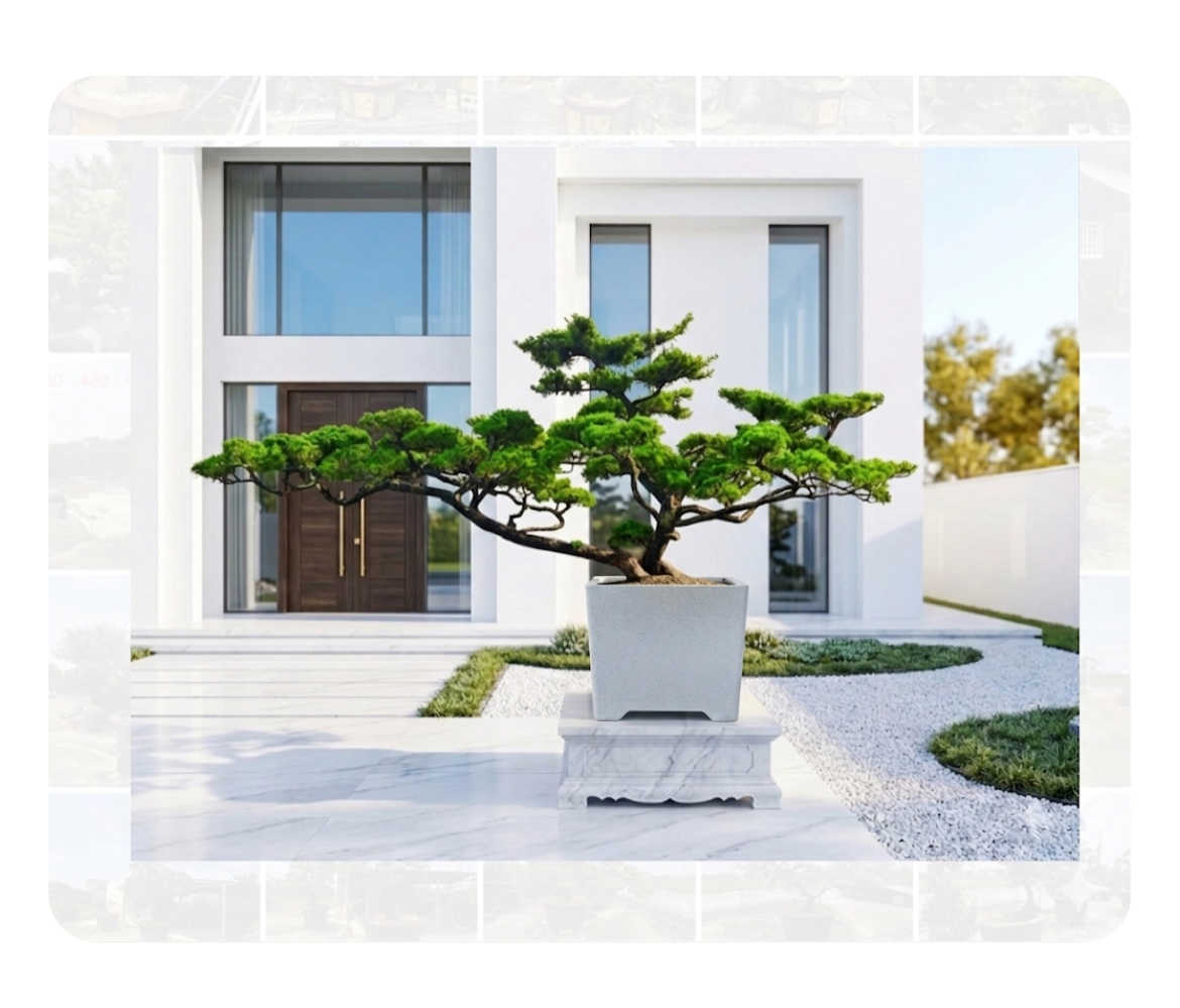 真柏庭園樹（樹齡30年、飄幅430公分）