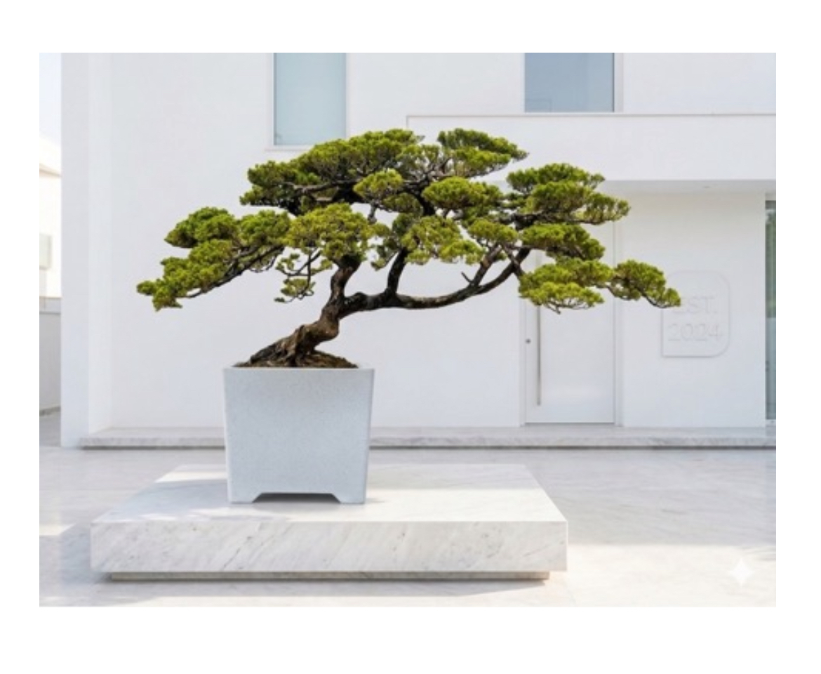 真柏庭園樹（樹齡30年，飄380公分）