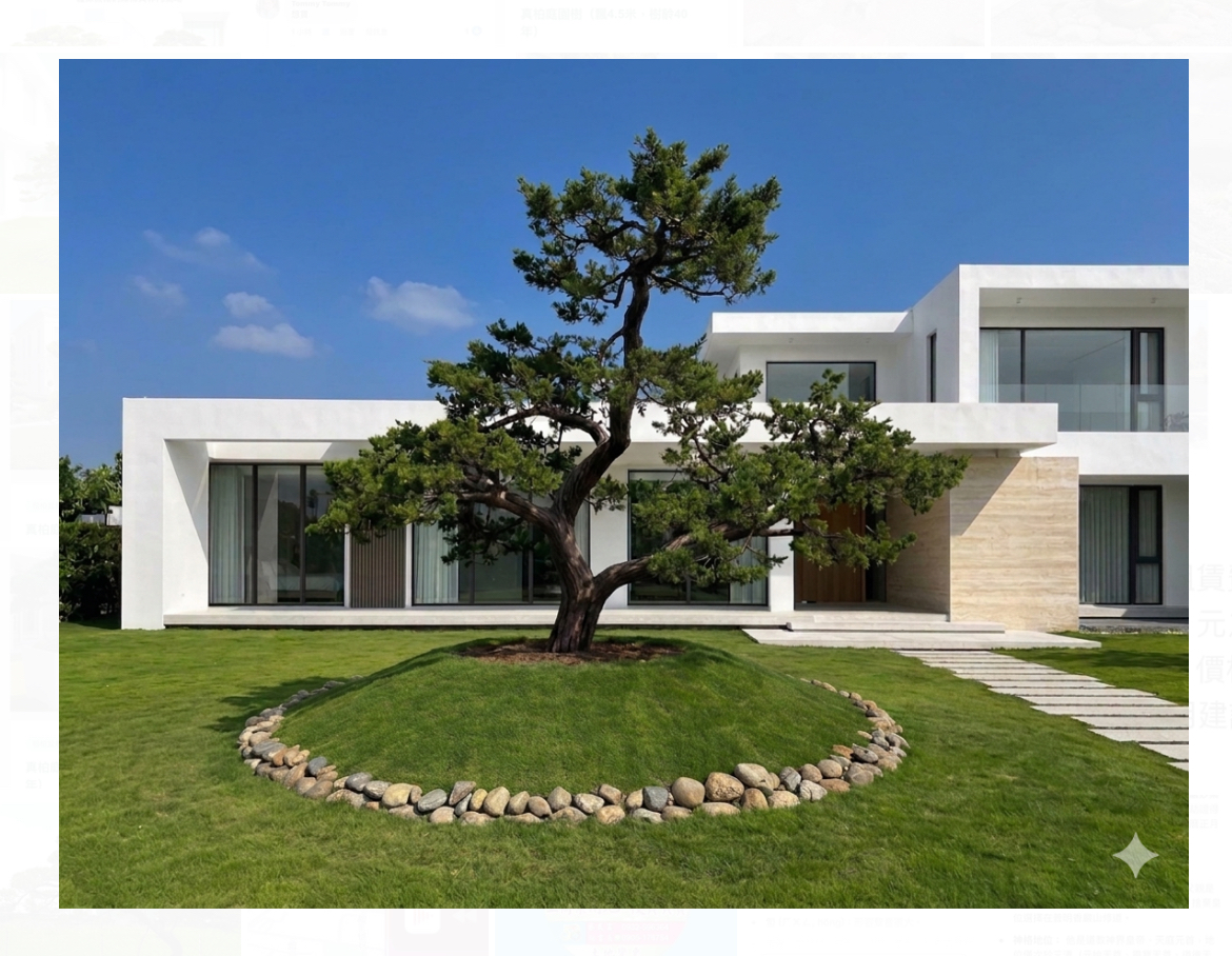 真柏庭園樹（飄4.35米、樹齡40年）