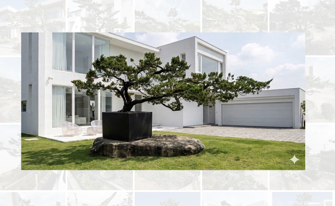 *真柏庭園樹（飄4.35米、樹齡35年）